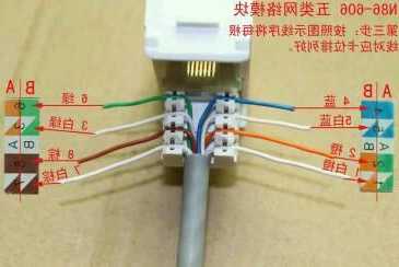 广州双头网套连接器厂家,双头网络面板怎么接线!-第3张图片-平阳县乌魄百货商行